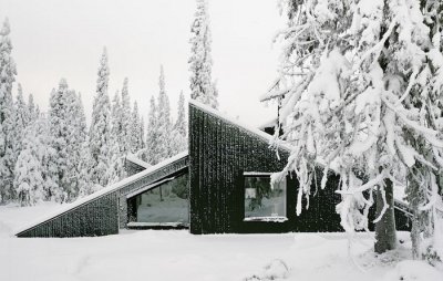 Дом в заснеженном лесу